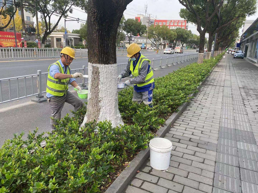 十一月园林绿化养护