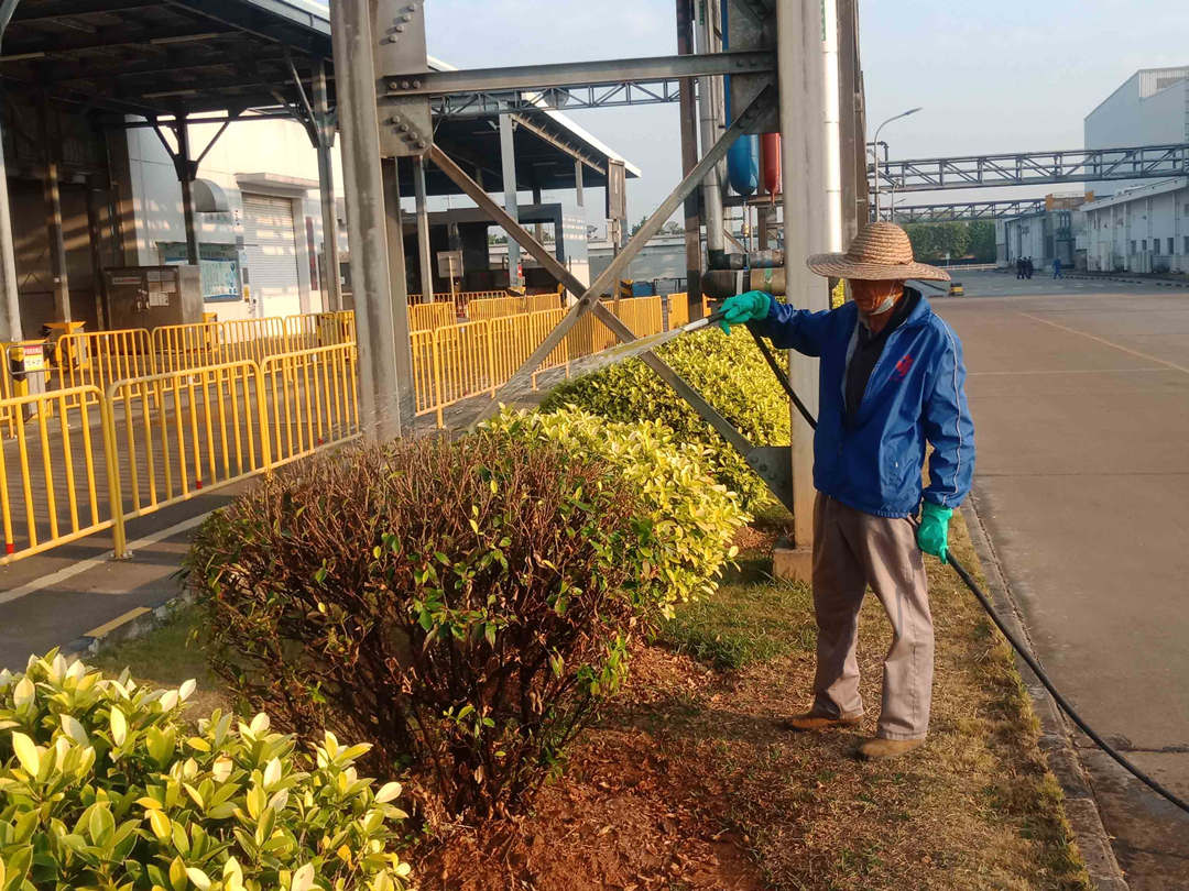 冬季绿化养护浇水