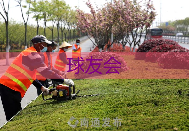 如皋市政道路绿化树苗种类有哪些