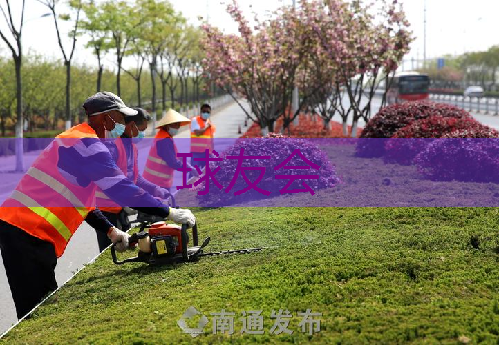 桦甸绿化批发市场