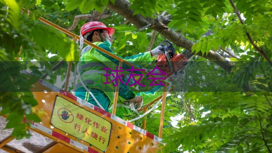 现代园林景观设计的任务