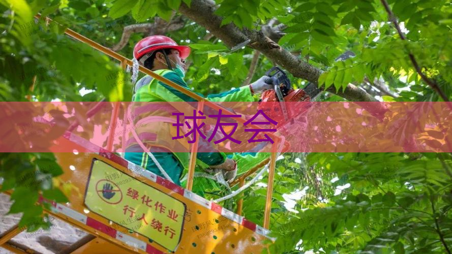 丽水东大门绿化工程项目 丽水东大门绿化工程项目