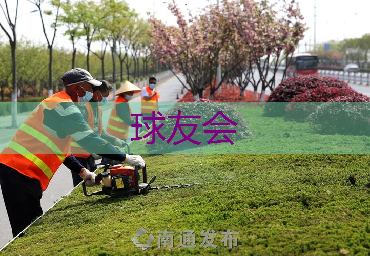 坡头华发新城二期绿化工程 坡头华发新城二期绿化工程