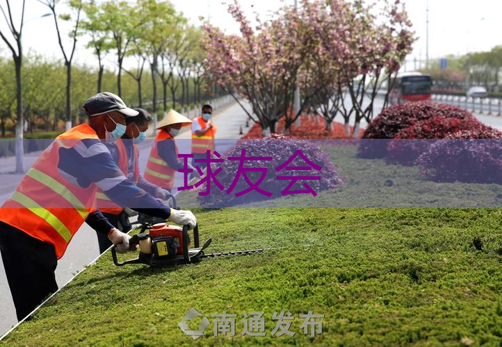 佛山学校运动场绿化工程 佛山学校运动场绿化工程