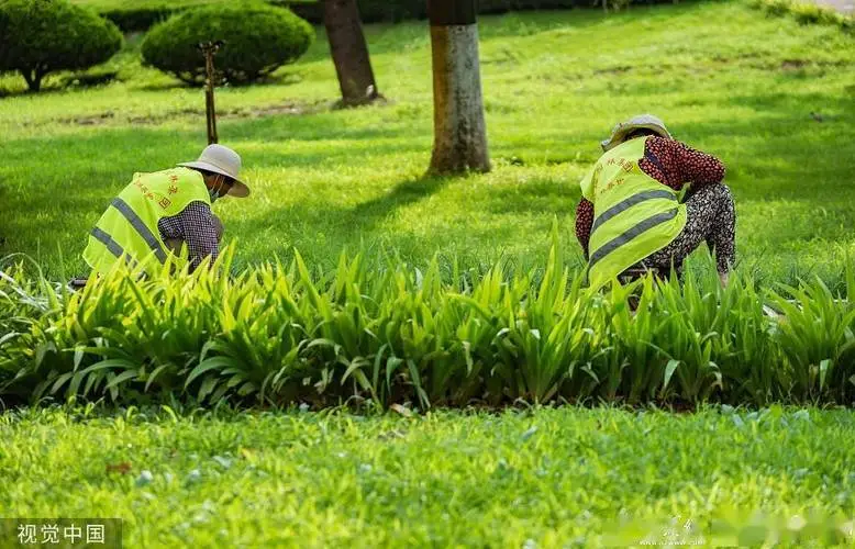 现代化园林景观设计案例 现代化园林景观设计案例