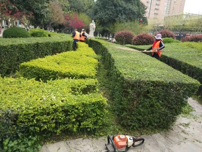 现代城市园林景观设计现状