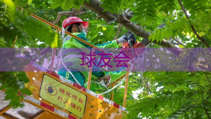 1公顷园林景观设计费用
