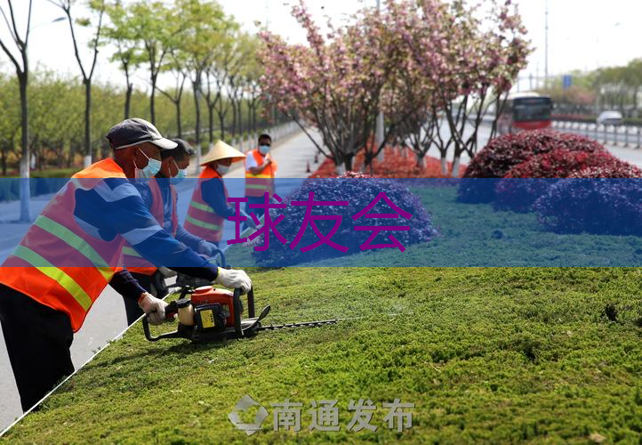 崇明区工厂绿化美化工程