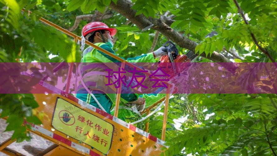 广州绿化工程的税