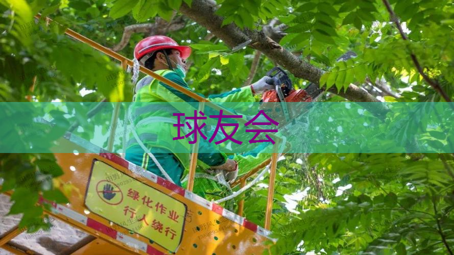 通过科学规划和设计,解决园林管理中的空间利用问题 通过科学规划和设计,解决园林管理中的空间利用问题