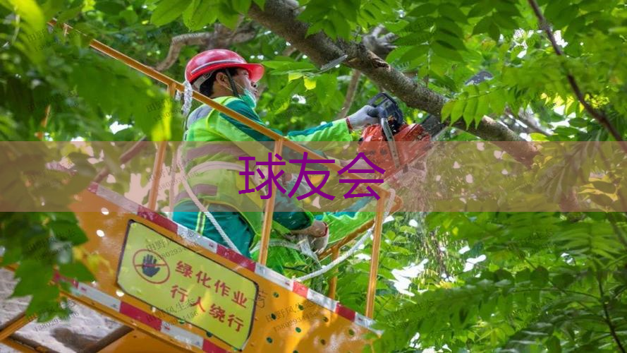 绿化工程质量观感要求怎么写
