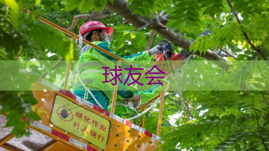 王冲老师绿化工程师是谁 王冲老师绿化工程师是谁